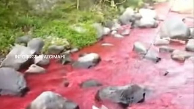 Sekilas sungai berubah menjadi merah darah, dan netizen sibuk mencari alasannya