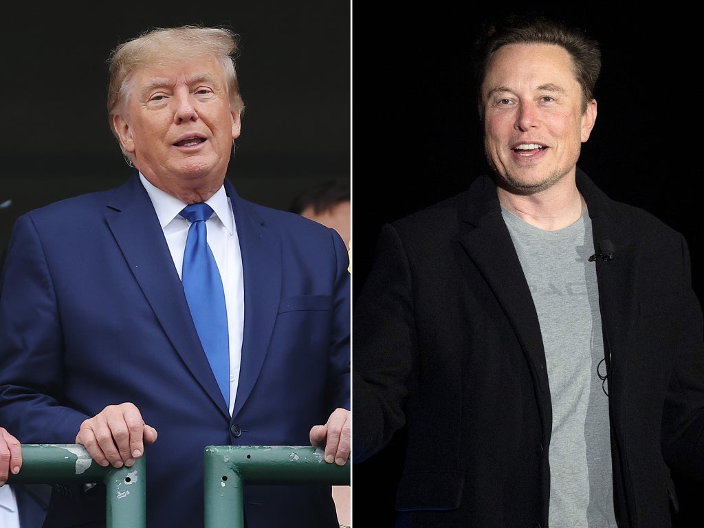 Elon Musk mengatakan dia berencana untuk mencabut larangan Twitter Donald