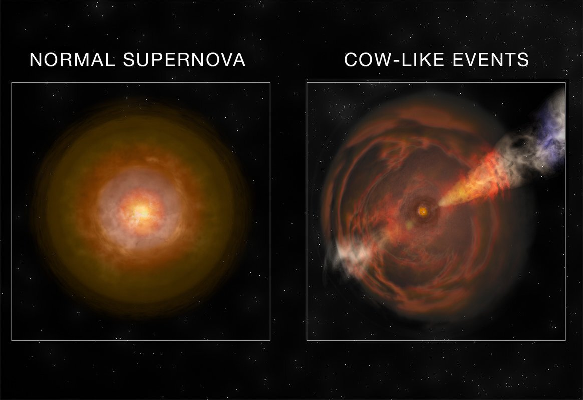 para astronom menemukan bola api sinar x dari ledakan bintang besar