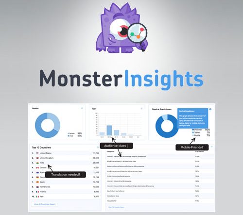 MonsterInsights-Pro-Google-Analytics