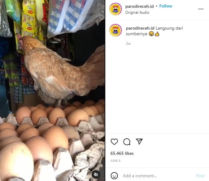 Metode jual telur di warung. (instagram/parodireceh.id)